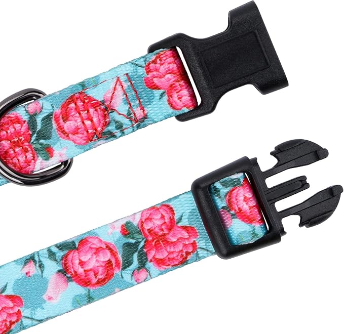 Girl Dog Collars Summer Floral Rose Print, Female Flower Collar, Turquoise, Small