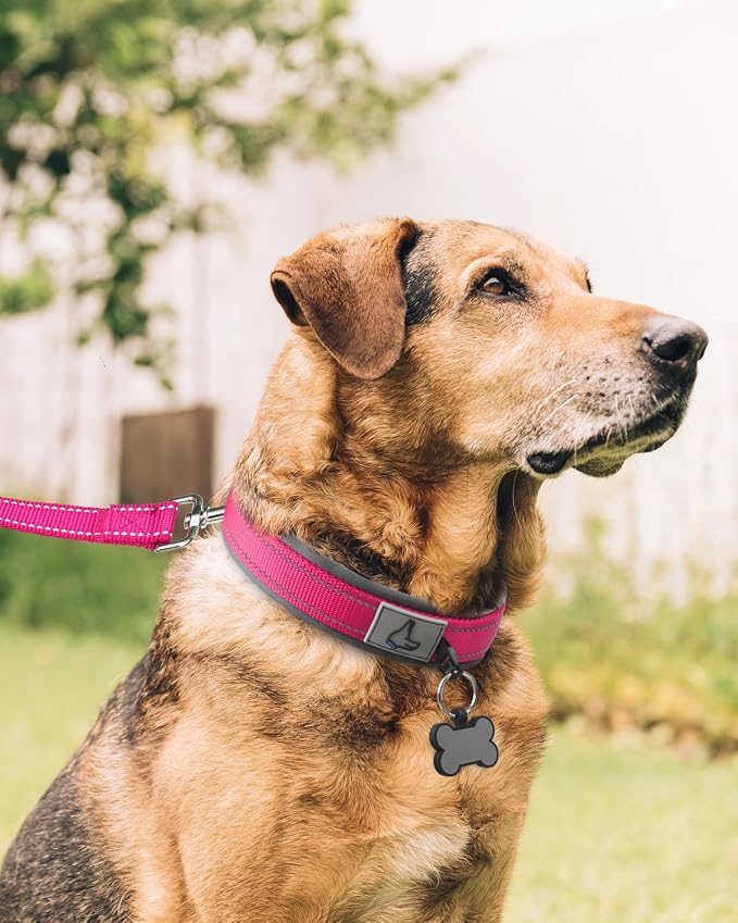 Joytale Dog Collar for Extra Large Dogs, Neoprene Padded and Adjustable, Reflective Wide Heavy Duty Pet Collars with Durable Metal Belt Buckle for Walking, Hotpink, XL