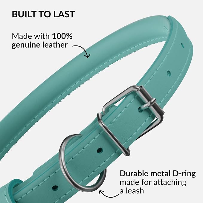 CollarDirect Reflective Rolled Leather Dog Collar, Soft Padded Round Puppy Collar, Handmade Genuine Leather Collar Dog Small Large Cat Collars 13 Colors (15-19 Inch, Mint Green Reflective)