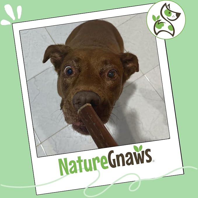 Nature Gnaws Bully Sticks for Dogs 5-6" (1Lb) - Mixed Thickness - Long Lasting for Aggressive Chewers and Large Dogs - Natural Beef Dog Chew Bones