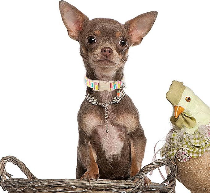 DOGWONG Easter Dog Collar- Cute Coloful Egg Dog Collars Adjustable Designer Easter Day Puppy Heart Dog Collar for Small Medium Large Dogs M