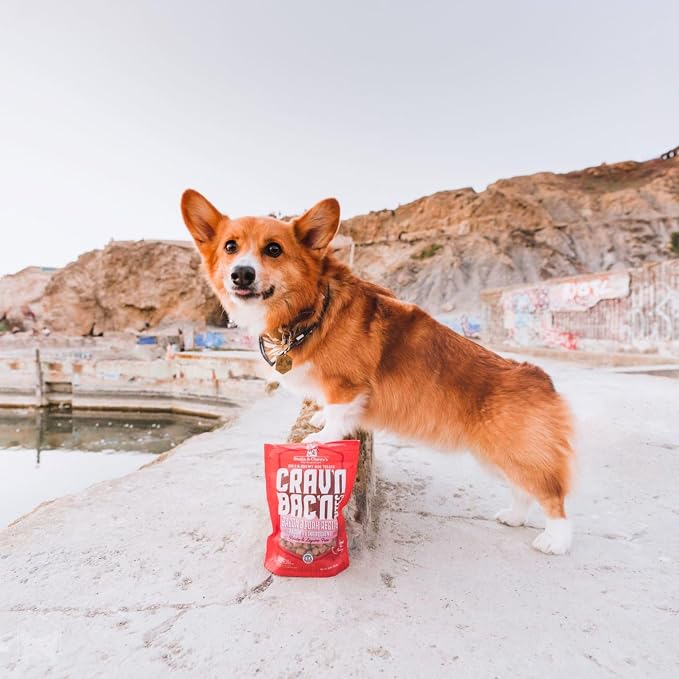 Stella & Chewy's Training Dog Treats - Crav'n Bac'n Soft Bacon & Pork Bites - Premium USA Made - Low Calorie Rewards - 8.25oz