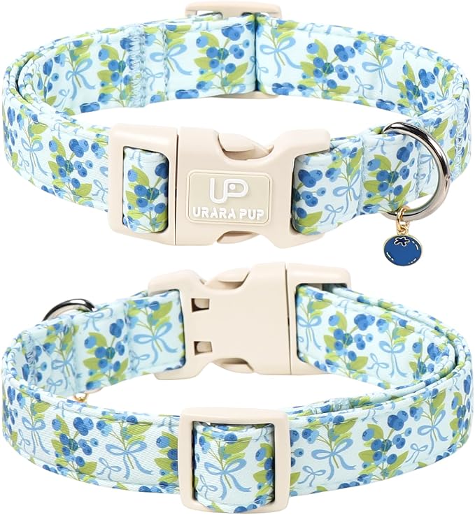 Blueberry Dog Collar and Bowtie Pattern, Cute Adjustable Puppy Collar with Quick Release Buckle and Lovely Blueberry Charm,for Small Medium Large Dogs
