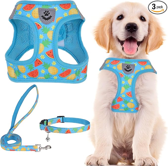 PUPTECK Adjustable Dog Harness Collar and Leash Set Step in No Pull Pet Harness for Small Medium Dogs Puppy and Cats Outdoor Walking Running, Soft Mesh Padded Reflective Vest Harnesses, Sky Blue S