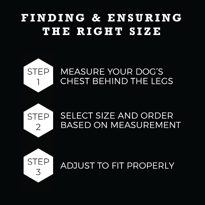Wolfgang Heavy Duty Adjustable Dog Harness, Pull-Tested to Over 800 lbs for Walking & Training, DigitalDog Print, Extra Large