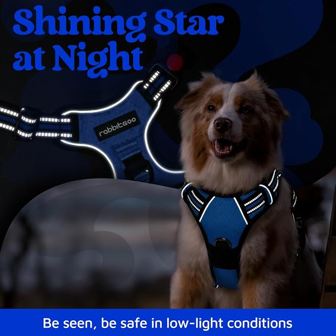 rabbitgoo Dog Harness Medium Sized, 3 Buckles Easy On & Off No Pull Pet Vest, Soft Padded Walking Pet Harness with Control Handle, Adjustable and Reflective, Royal Blue, M
