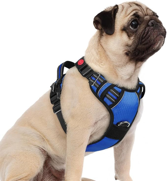 rabbitgoo Dog Harness Small Sized, 3 Buckles Easy On & Off No Pull Pet Vest, Soft Padded Walking Pet Harness with Control Handle, Adjustable and Reflective, Royal Blue, S