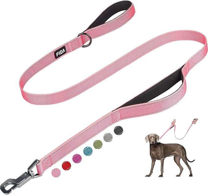 Fida 5 FT Heavy Duty Dog Leash with 2 Comfortable Padded Handles, Traffic Handle & Advanced Easy Snap Hook, Reflective Walking Lead for Large, Medium & Small Breed Dogs, Pink