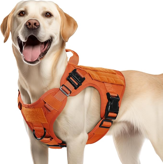 rabbitgoo Tactical Dog Harness Medium Sized, Heavy Duty Pet Harness with Handle, No-Pull Service Vest Medium Breed, Adjustable Military Dog Vest for Training Hunting Walking, Orange, M