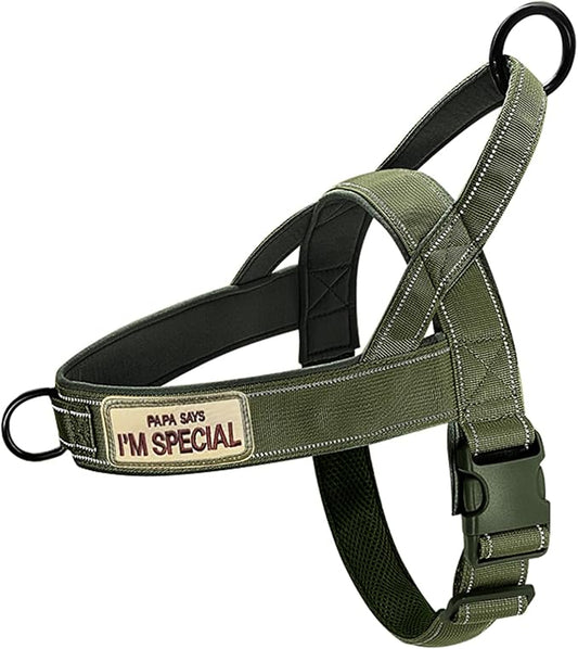 Green No Pull Dog Harness for Small Medium Large Sized Dog, Reflective Escape Proof Adjustable Dog Harnesses with 2 Patch, S