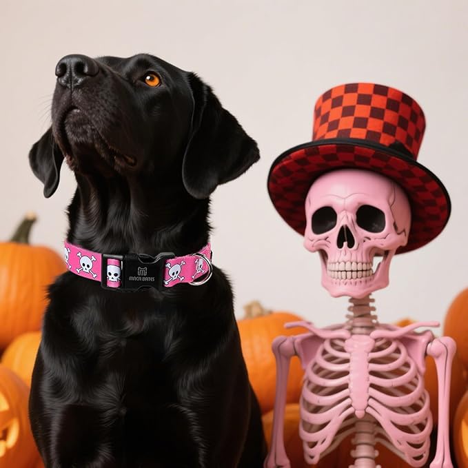 Maca Bates Halloween Pink Skull Dog Basic Collar Spooky Puppy Collars for Extra Small Girl Boy Dogs,Cute Durable Soft Adjustable Gift for All Saints'Day Female Male Dogs Pet