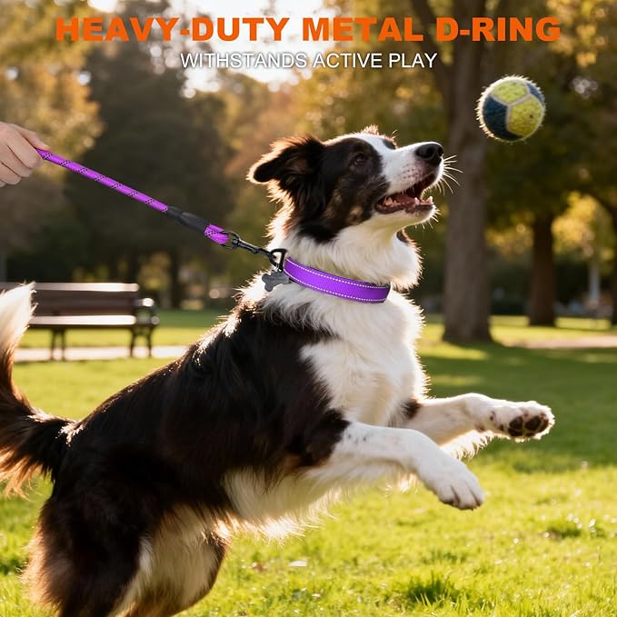 Taglory Reflective Dog Collar for Medium Dogs, Soft Neoprene Padded with Escape-Proof Locking Buckle, Upgraded Zinc Alloy Ring, Adjustable for Walking Female Male, Purple,M