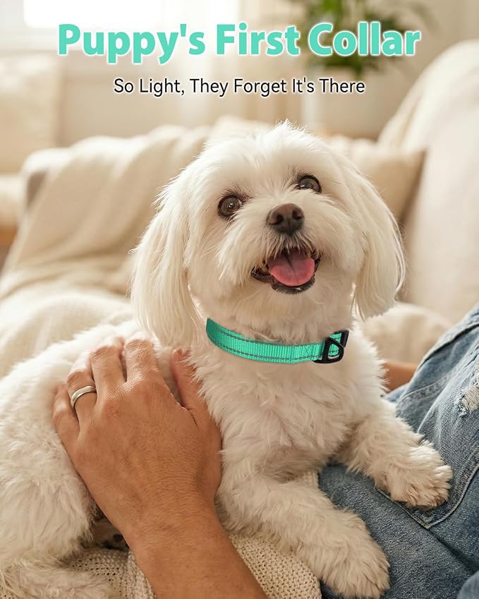 Joytale Dog Collars for Small Dogs, Feather-Light Double-Sided Reflective Nylon Collar for Night Safety, Adjustable Quick-Release for Growing Puppies, Teal, S (5/8" Width)