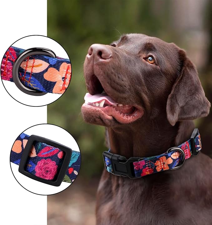 Dog Collar for Small Dogs Special Design Cute Floral Plant Pattern Girl Female Pet Collar (Black, S)
