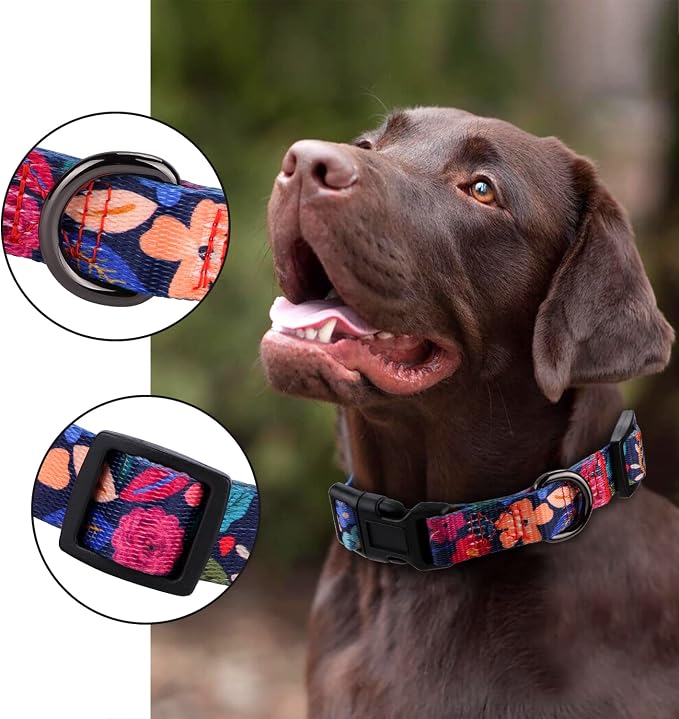 Dog Collar for Medium Dogs Special Design Cute Floral Plant Pattern Girl Female Pet Collar (Black, M)