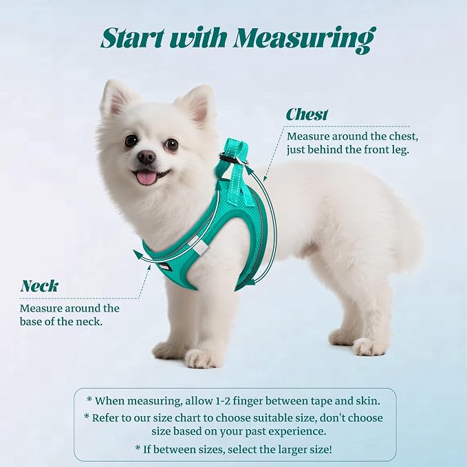 YIMEIS Dog Harness and Leash Set, No Pull Soft Mesh Pet Harness, Reflective Adjustable Puppy Vest for Small Medium Large Dogs, Cats (Turquoise, Medium (Pack of 1)