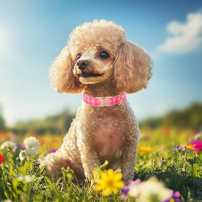 Pink Checkerboard Dog Collar, Classic Girly Plaid Dog Collars, Adjustable Heavy Duty Girl Dogs Collar for Small Medium Large Dogs with Metal Buckle L