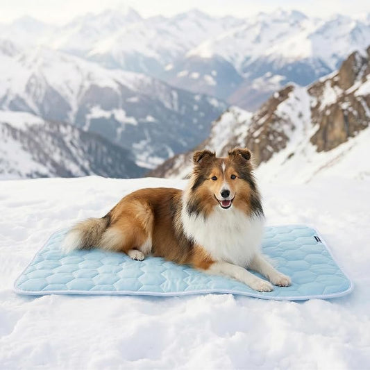 Sytopia 35" x 24" Dog Cooling Mat for Large Dogs, Q-Max>0.5 All Season Thin Breathable Crate Pad Indoor for Pet, Portable Washable & Non-Toxic Kennel Mat for Summer Active Dog, Light Blue