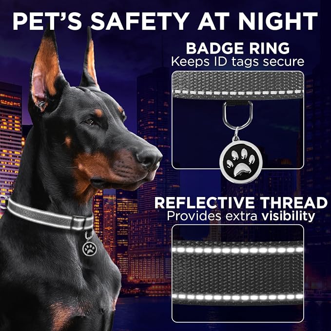 TECEUM Reflective Dog Collar – Gray – XXS – Extra Soft Padding – Basic Nylon Pet Collar – Quick Release Buckle – Fits Small, Medium and Large Dogs, Puppies, Cats – ESA & Service Dog Options