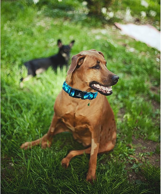 Lionheart glory Dog Collar Green Cute Collar for Large Dogs Spring Summer Female or Male Collars Pets Gift Adjustable Heavy-Duty Pet Collars