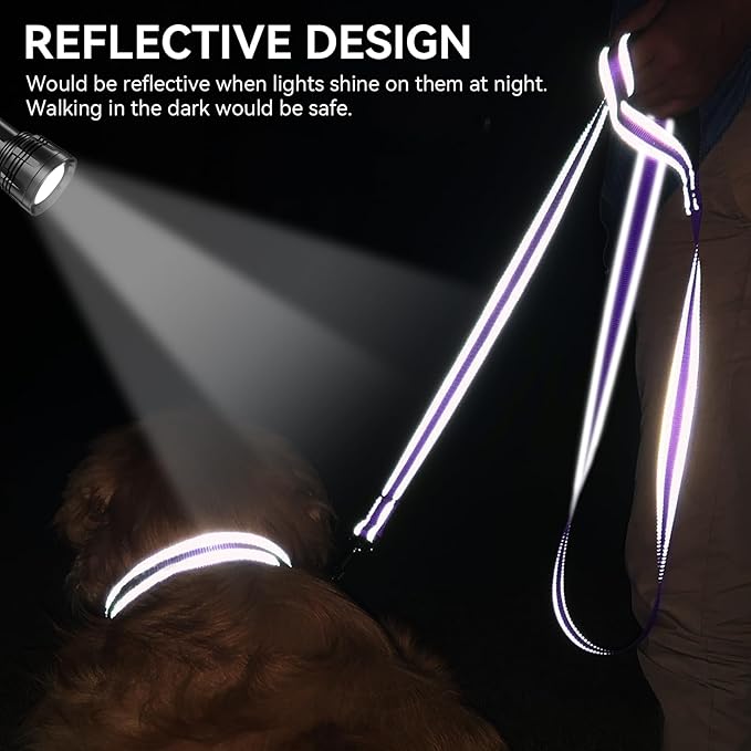 Joytale Dog Leash, 4 FT Double-Sided Reflective, Padded Handle Nylon Heavy Duty Leashes for Medium & Large Dogs Walking, Purple