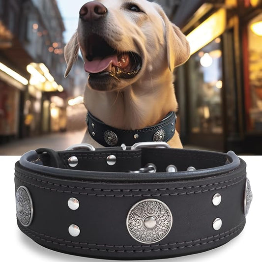 Genuine Leather Dog Collar for Large Dogs,2 in Wide Heavy Duty,BK-L | Handmade,Stainless Steel Pin Buckle,Soft Padded,Alloy Studded,Luxury Eye-catching Design,Medium Large Giant Breeds,21-25 in
