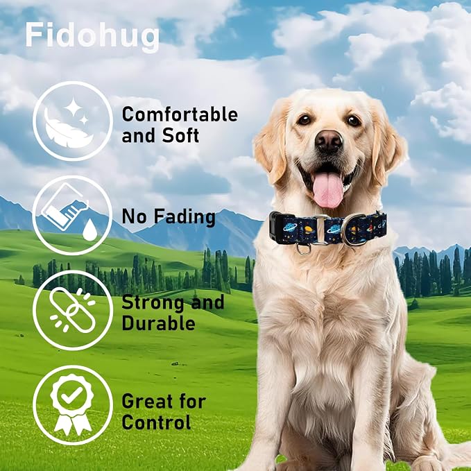 Martingale Dog Collars with Buckle No Slip Training Boy Dog Collar for Large Dogs (Blue Space, Large)