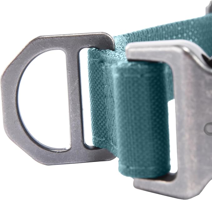 Carhartt Field Dog Collar, Fully Adjustable, Durable 600-Denier Fabric W/Reflective Wordmark for Visibility, Harbor Teal, Medium