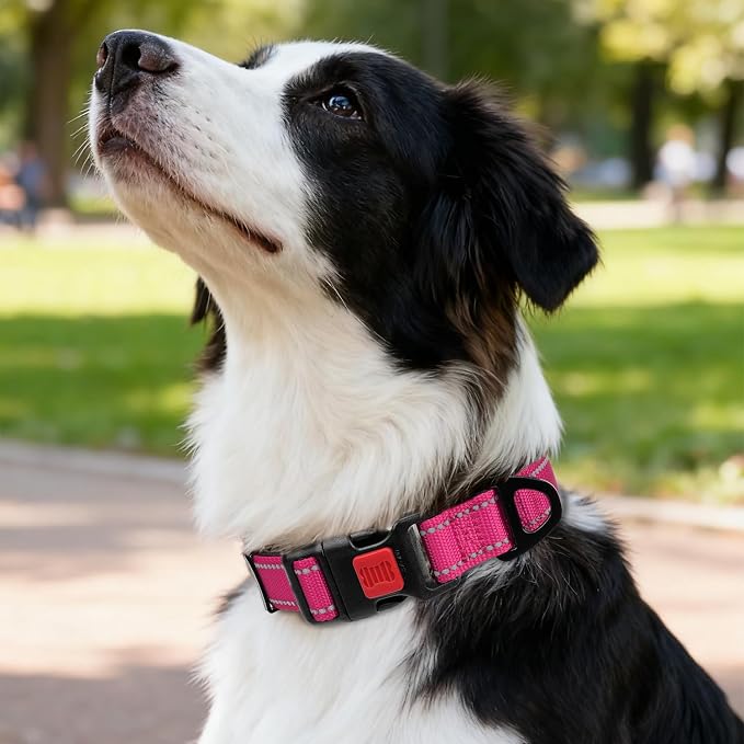 Taglory Reflective Dog Collar for Medium Dogs, Soft Neoprene Padded with Escape-Proof Locking Buckle, Upgraded Zinc Alloy Ring, Adjustable for Walking Female Male, Hotpink,M