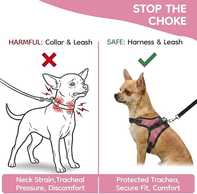 No Pull Reflective Adjustable Dog Harness With Handle- Comfortable Soft All Weather Mesh, Easy On Puppy Harness For Small Medium and Large Dogs (Pink) X-Small