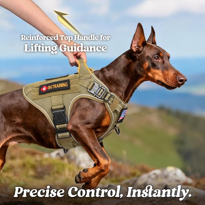 rabbitgoo Tactical Dog Harness Small Sized, No Pull Upgraded Reflective Heavy Duty Molle Vest with Handle, Adjustable Military Service Dog Vest for Walking Hiking Training, Brown, S