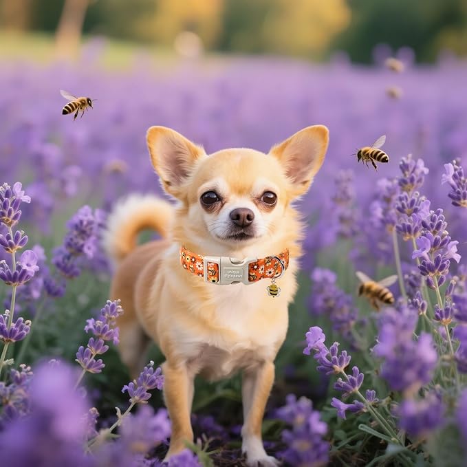 Unique style paws Dog Collar Plastic Buckle with Pendant Bee Daisy Puppy Collars for Small Medium Large Boys Girls Dogs