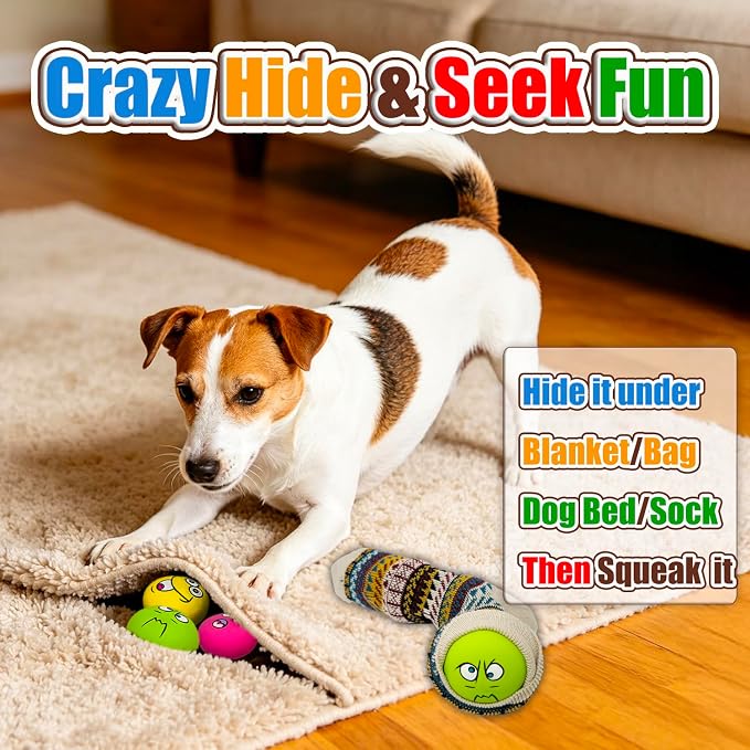 HOLYSTEED Latex Dog Squeaky Toys, Rubber Soft Small Dog Toys Chewing Squeaky Toy, Fetch Play Balls Toy for Puppy Small Pets 6pcs
