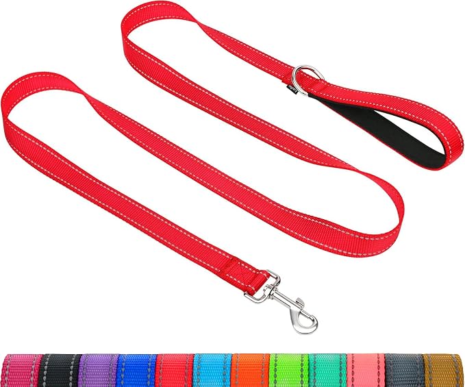 Taglory Dog Leash for Medium Large Dogs, Double-Sided Reflective for Night Walking, Neoprene Padded Handle, 1 inch by 5 ft, Heavy Duty for Medium Large Breeds 20-150 lbs, Red