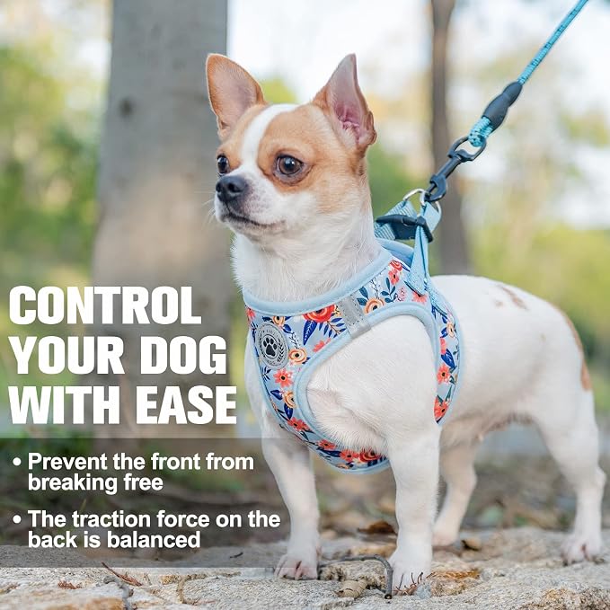 BEAUTYZOO Step in Dog Harness and Leash Set, Floral Pattern Reflective No Pull No Choke Puppy Harness for Small Medium Large Dogs Cats, Soft Padded Mesh Vest Harnesses for Girl and Boy Pets