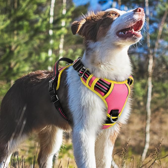 rabbitgoo Dog Harness Medium Sized, 3 Buckles Easy On & Off No Pull Pet Vest, Soft Padded Walking Pet Harness with Control Handle, Adjustable and Reflective, Pink & Yellow, M