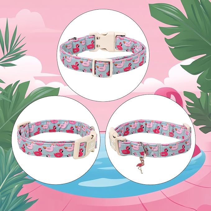 Summer Dog Collar Cute Flamingo Float Dog Collars for Medium Dogs - Lightweight Adjustable Male Female Dogs Everyday Collar with Quick Release Buckle M