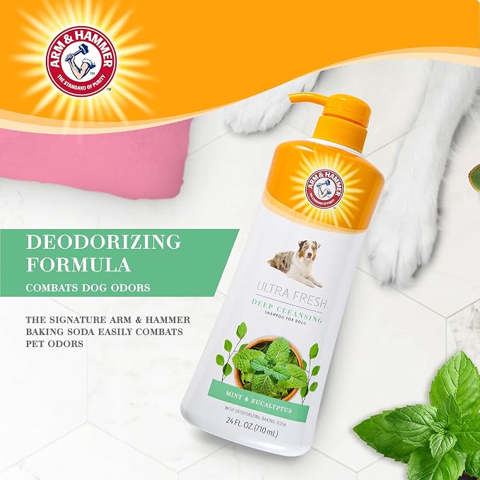Arm & Hammer Ultra Fresh Charcoal Dog Shampoo with Rosemary Deep Cleansing Odor Control Baking Soda Deodorizing Pet Shampoo Pump Bottle Eucalyptus Mint Scent 24 FL OZ Single Bottle Dog Grooming