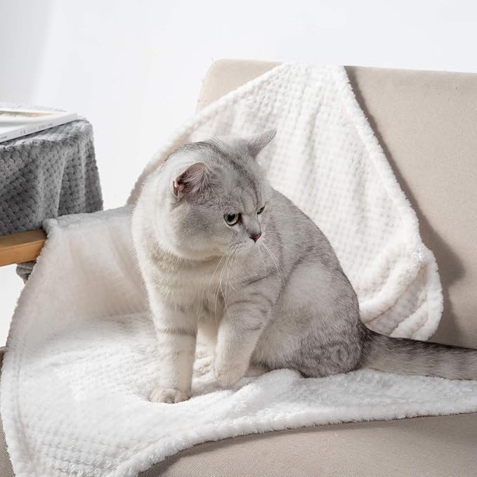 Warm Soft Fuzzy Dog or Cat Blanket, Plush Fleece Throws for Puppy, Kitten, Medium, Large Dogs - Ivory (S/24" x 32")