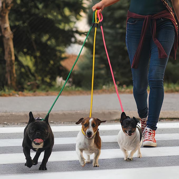 FOVRLZSE 3-Pack Adjustable No-Pull Dog Slip Leads 3 Colors (Yellow/Pink/Green) - Dogs' Fave Hues, Easy On/Off, No Collar Needed, Ideal for Training & Walking