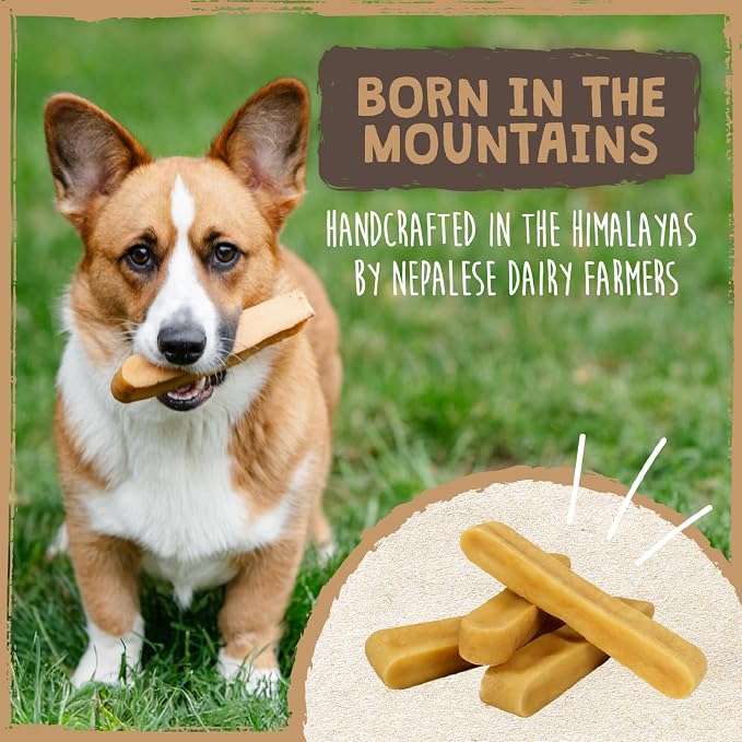 Mighty Paw Yak Cheese Chews for Dogs | All-Natural Long Lasting Pet Treats. Odorless and Great for Oral Health. Limited-Ingredient Chews for Puppies & Power-Chewers (Monster, 1 Pack)