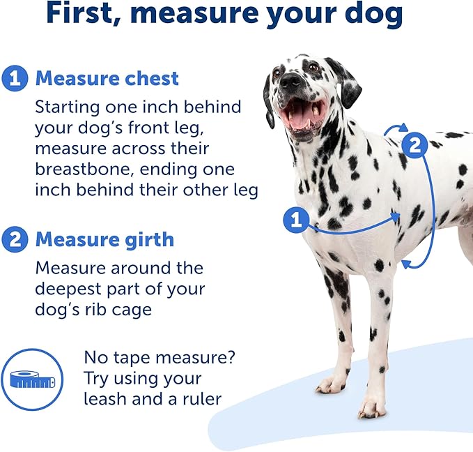 PetSafe Easy Walk No-Pull Dog Harness - Ultimate Harness to Help Stop Pulling - Pull-Free Walks - Take Control & Teach Better Leash Manners - Patented Martingale Loop Design - Royal Blue, Large