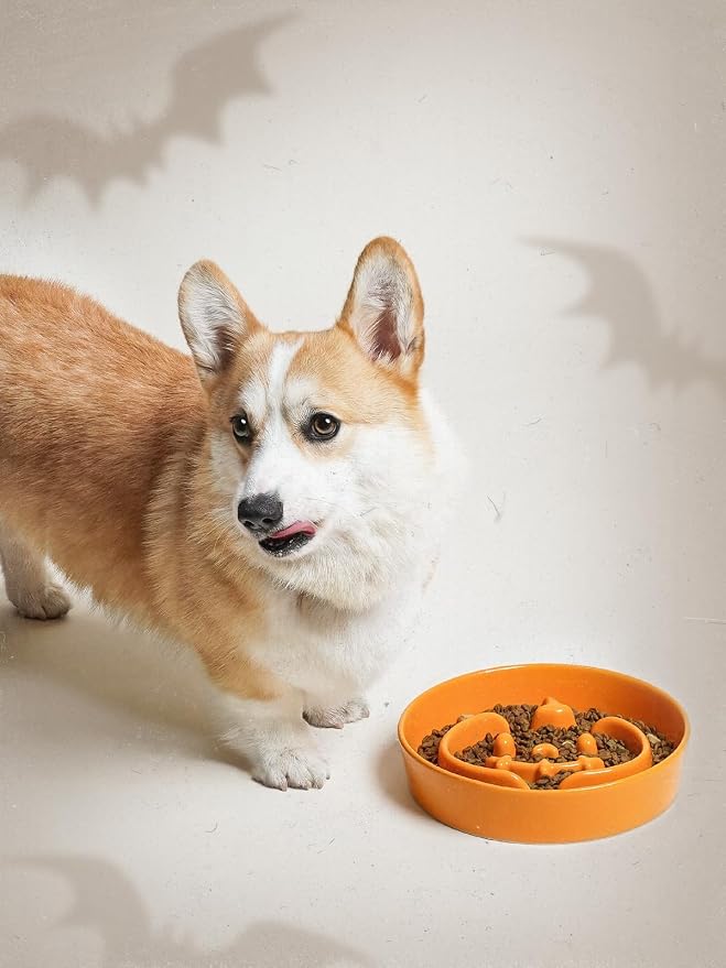 LE TAUCI Ceramic Slow Feeder Dog Bowl for Small Medium Dogs & Puppy, 1.5 Cup Puzzle Food Dish to Slow Down Eating, Pumpkin Orange