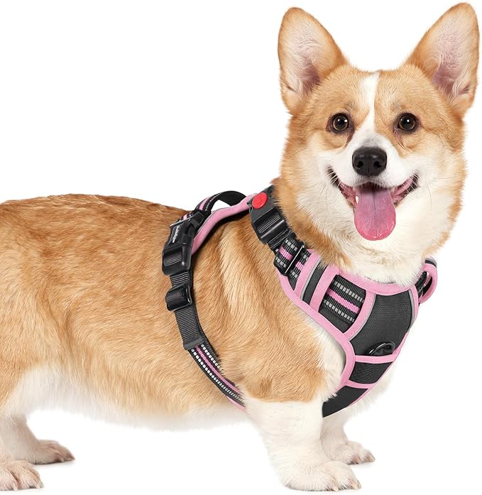 rabbitgoo Dog Harness Small Sized, No Pull Easy On & Off with 3 Buckles Pet Harness, Adjustable Soft Walking Vest with 2 Clips and Handle, Reflective for Small Dogs, Black & Pink, S