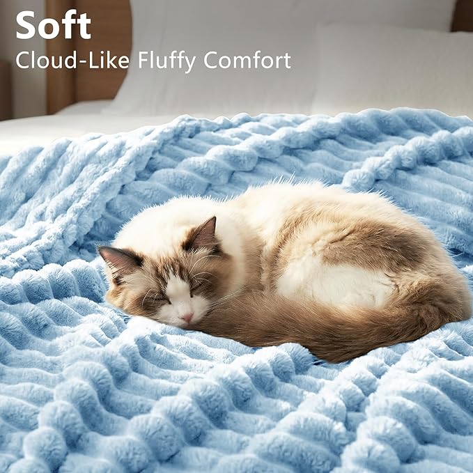 HIMEET Fleece Light Blue Throw Blanket for Bed - 300GSM Ribbed Soft Cozy Blanket for Couch, Graduation Birthday Gifts for Women Men Dad, College Dorm Essentials Minimalist Room Throws, 50x60 Inches