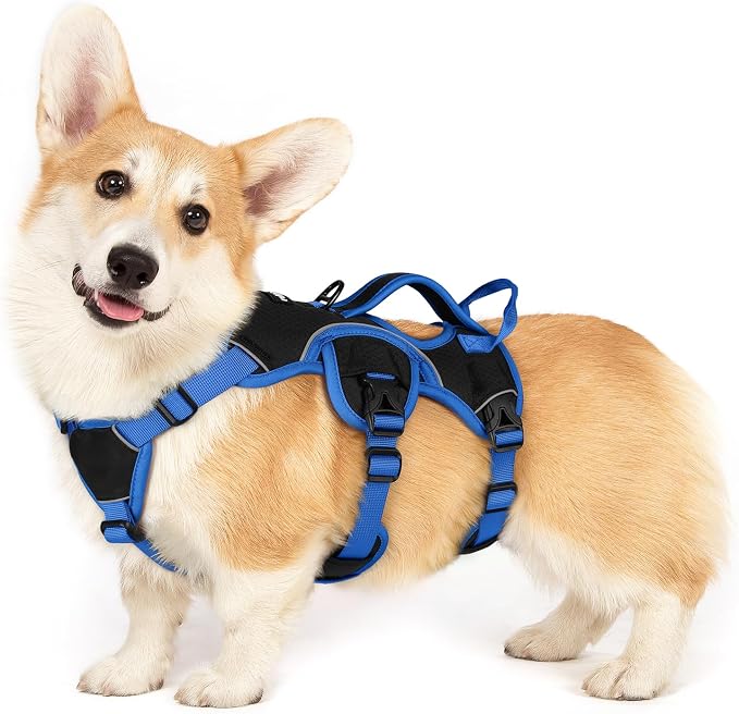 rabbitgoo Escape Proof Dog Harness Large Dogs, Soft Padded Full Body Pet Harness, Reflective Adjustable No Pull Vest with Lift Handle and Leash Clip for Walking Hiking Training, Blue & Black, S