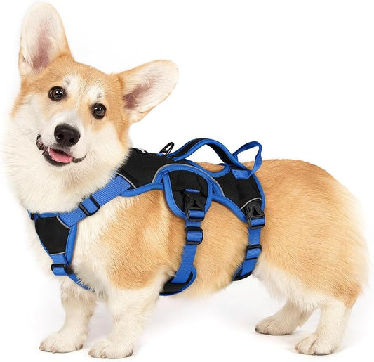 rabbitgoo Escape Proof Dog Harness Large Dogs, Soft Padded Full Body Pet Harness, Reflective Adjustable No Pull Vest with Lift Handle and Leash Clip for Walking Hiking Training, Blue & Black, S