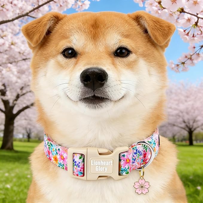 Lionheart Glory Spring Summer Dog Collar - Soft and Adjustable Dog Collars with Plastic Buckle Colorful Wildflower Pattern Dogs Collar for Large Dogs Male Female Pet Collars L