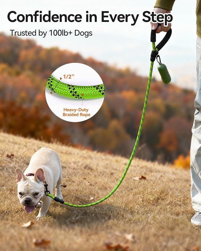 Joytale Dog Leash for Small Dogs, Heavy Duty Nylon Leashes with Comfortable Padded Handle and Highly Reflective Threads, Ideal for Walking and Training, Green, 6'×3/8''