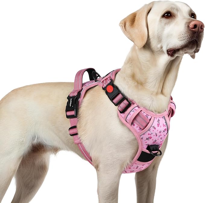 rabbitgoo Dog Harness for Large, No Pull Easy On & Off with 3 Buckles Pet Harness, Adjustable Soft Walking Vest with 2 Clips and Handle, Reflective for Large Dogs, Floral Pink, L